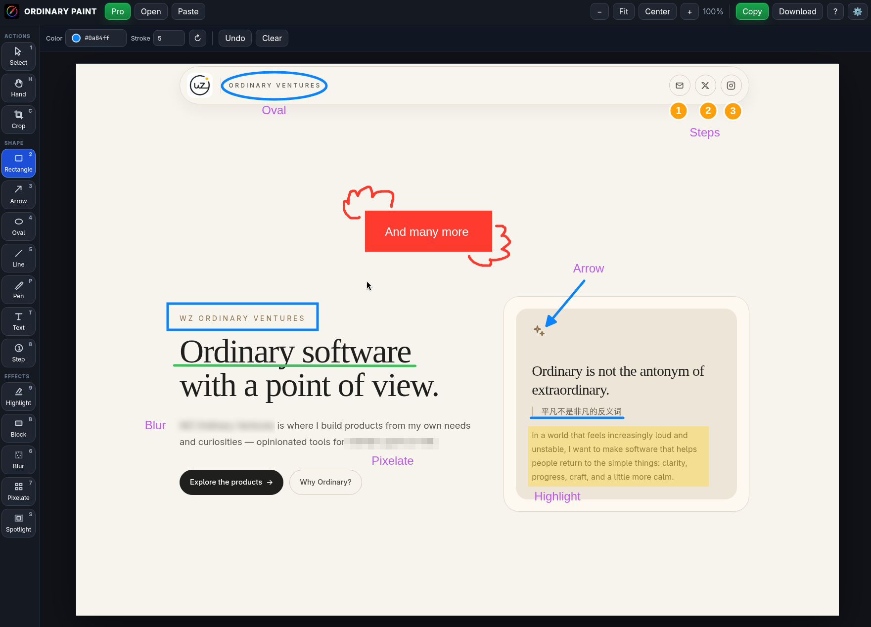 Ordinary Paint annotated screenshot demo